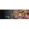 Wash+Dry tappeto Design Midnight Blooms 60x180cm, adatto per interni ed esterni, lavabile, multicolore