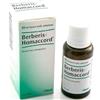 Guna Heel Berberis Homac Gocce 30 ml