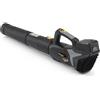 Alpina AB 20 Li Kit Soffiatore a Batteria, 20 V, Velocità Aria 32 m/s - Ultraleggero, Batteria e Caricab. Inclusi - Per Giardino