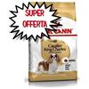 ROYAL CANIN CANE ADULTO CAVALIER KING 3 KG