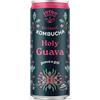 Intro Holy Guava Kombucha