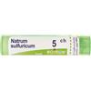 Boiron Natrum Sulfuricum 5ch Contenitore Multidose 80 Granuli