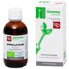 Fitomedical IPPOCASTANO MACERATO GLICERICO 50 ML BIO