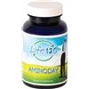 LIFE 120 ITALIA SRL AMINODAY 90CPR