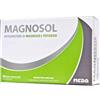 Magnosol - Magnosol 20 Bustine Effervescenti
