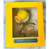 Pokemon Center Pokemon Madatsubomi Luce LED con Scatola Limited Concierge 2024 Giocattolo Nu...
