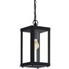 EGLO Lampada da esterno sospesa Alamonte 1, lampada esterna a 1 | fiamma, lampada a sospensione in acciaio zincato, colore nero, vetro trasparente, portalampada E27, IP44