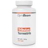 GYMBEAM Tribulus Terrestris 120 compresse
