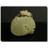 A Bijoux Pietre E Minerali. 26,00 Grammi PREHNITE Oficarsa Cave, Jaén, Andalusia
