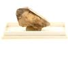 A Bijoux Pietre E Minerali. Quarzo Fumè. 56.07 Ct. Lavorgo, Ticino (Ticino), Svizzera.