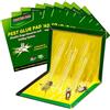 PATRICHOR 10 Pezzi Trappole Colla 31.5 Cm x 21 Cm Trappola Scarafaggi - Trappole Per Scarafaggi Professionale Grandi Per Blatte Con Ultra Adesive