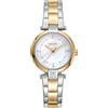 DKNY Orologio al quarzo Essential Mini al quarzo 5 ATM, Argento/oro, misura unica, Moderno