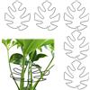 Fnaobai Set di 5 supporti per steli di tartaruga, in bambù, per piante rampicanti, per interni, foglie di Monstera, accessori di supporto per piante per giardini all'aperto, mantiene le piante