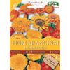 Generico Semi Miscuglio di Fiori Arancioni, Fioritura Abbondante, Mazzi di Fiore Arancioni orange flower seeds