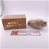 Shakuhachi Flauto Boccaglio Adattatore Quick Sound Training Tool per principi...