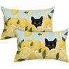 Artoid Mode Set di 2 federe per cuscino estivo con gatto nero, con foglie di limone, 30 x 50 cm, per la primavera, stagionale, per il soggiorno, decorazione