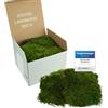 Mia Milano I Foglio di Muschio Conservato Verde Naturale I Muschio Decorativo per Parete, Quadri di Muschio e Artigianato I 300 g