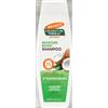 Palmer's Coconut Oil Formula Shampoo - 400 ml