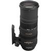 Sigma Obiettivi Sigma 150-500mm f/5-6.3 APO DG OS Sony 150-500mm f/5-6.3 - refurbished