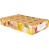 Pajoma 92003 Set di 30 lumini profumati di Mango Arancione Modern Line, Durata Circa 14 Ore, Altezza 1,5 cm