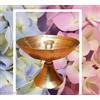 2" ottone decorativo Akhand Diya Deepak /deepam / lampada a olio regalo Chira...