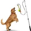 YES4QUALITY Asta da Flirt per Cani con Corda Non Elastica Sicura e Resistente, Bastone Esca Telescopico per Cani di Qualsiasi Taglia, Giocattolo per Cani per Allenamento ed Esercizio di Yes4Quality