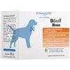 Dynamopet Digea F Medium 20 Bustine Da 4 G 20x4 g Polvere per soluzione orale