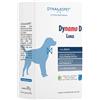 Dynamo D Large 20 Bustine Da 10 G 20x10 g Polvere per soluzione orale