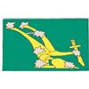 AZ FLAG Bandiera Irlanda Starry Plough verde 90x60 cm 2 Occhielli | Uso interno ed esterno bandiera decorativa del Irish republican movement Starry Plough of Ireland con occhielli metallici