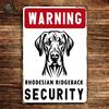 Targa Decorativa Metallo Rhodesian Ridgeback Warnin - Poster Arte Vintage Parete