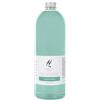 Hypno Casa - Ricarica 1000 Millilitri per Diffusori a Bastoncini (Acqua Marina)