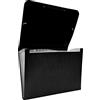 Raylu Paper® - Cartella classificatrice a fisarmonica per documenti a 12 scomparti, raccoglitore in plastica opaca con divisori per ufficio (nero)