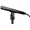 Audio-Technica AT2031 Microfono a condensatore cardioide con indirizzo finale per strumenti a corda in studi critici e applicazioni live.
