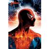 MARVEL COMICS AMBROSIANA Poster (113r) Spider-Man (Protector of the City) (61x91,5)