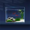 LAQUAL Kit acquario da 3.8 L con rete, sifone per acqua & 2 panni pulizia, vetro cristallino, piccolo acquario per Betta & pesci rossi, bella decorazione casa
