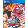 Bandai Namco One Piece : Burning Blood - PlayStation 4 [Edizione: Francia]