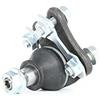 TRW JBJ377 Testina braccio oscillante Compatibilità con VW Golf IV Hatchback 1J1 New Beetle Hatchback 9C1, 1C1 Bora Sedan 1J2, AUDI A3 Hatchback 8L1, SEAT Leon Hatchback 1M1