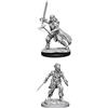 WizKids WZK73676 Accessories