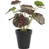 DKD Home Decor Pianta decorativa verde e rosa in polietilene (10 x 10 x 27 cm)