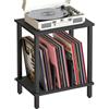 HOOBRO Supporto per Giradischi a 2 Ripiani, Espositore per Dischi in Stile Industriale, Mensola in Legno per 100 Dischi Vinili, CD, Tavolino Multiuso, Nero EBK05RS01