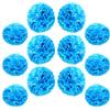 Ruidee 12 pompon di carta velina da 25,4 cm e 30,5 cm da appendere, decorazioni con fiori di carta colorata, palline di carta a forma di fiore, pompon di carta per feste e matrimoni (ZH/celeste)