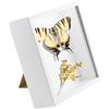 TENGYIF Cornice 3D 20x20 cm Cornice Profonda, 3D Ombra Profonda Box con Foglio Acrilico Trasparente, Cornice Contenitore per Souvenir Fiore Medaglia Regali (5CM, Bianco)