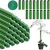 BBLTIFF Supporto per Piante, 24 Pezzi Sostegno per Piante con 16 Il Tubo di Collegamento, Bastoncini per Orchidee, Pali di Sostegno per Piante, Supporto Piante Adatto a Molti Tipi di Piante