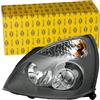 HELLA 1DL 008 461-771 Alogeno/Xeno-Faro principale ECE, per veicolo circolazione Dx, anteriore Sx