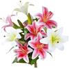 VaryFloral 6 Pezzi Fiori Artificiali Fiori Finti Giglio Fiore Artificiale Bianco e Rosa Bouquet Fiori Artificiali di Gigli Fiori Finti per Decorazioni da Vaso Realistico per Matrimoni Cucina Giardino