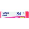 BOIRON Lachesis mut 200k gl 1g - BOIRON - 800109769