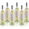 Masi MASIANCO 2023 | Pinot Grigio delle Venezie DOC | 6X750 ml | Appassimento Expertise | Confezione 6 bottiglie