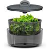 Zyliss Easy Spin Centrifuga per Insalata Grande 6L, Tecnologia AquaVent™ | Cordicella e Pulsante d'Arresto, Scarico, Base Antiscivolo, Senza BPA, Asciuga Insalata Centrifuga, Grigio