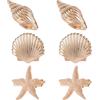 Tinoaly 6pz Fermagli Capelli Conchiglia Chiocciola Mare e Stella Marina Per Donne Ragazze, Oro Piccole Clip Oceaniche Metallo Accessori Capelli Vacanze Estive per Ferie Feste Sulla Spiaggia