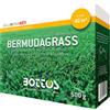 BOTTOS Zollaverde Macro Blend Bermudagrass 500 gr Bottos